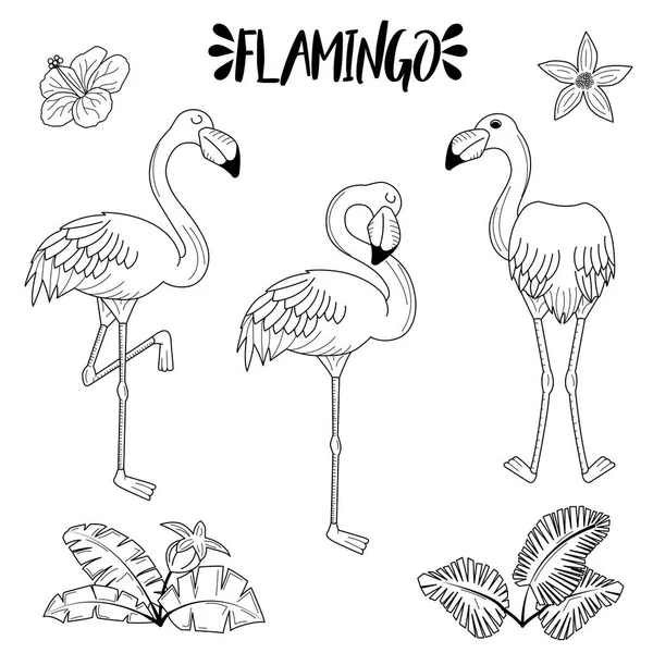 Elle çizilmiş gül pembe flamingo kümesi doodle — Stok Vektör