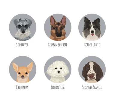 Evde beslenen hayvan köpek doğurmak rozet çıkartmaları yuvarlak