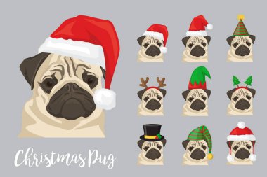 Kutlama şapka giymiş Noel şenlikli pug köpek