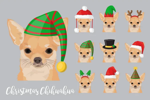 Weihnachten festlicher Chihuahua-Hund mit Festtagsmütze — Stockvektor