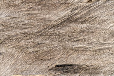 Ahşap doku soyut, doğal malzeme tasarımı için iç ve e