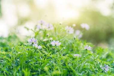 Mor flora ve yeşil bitkiler yakın kadar Bahçe Dekorasyon nesne,