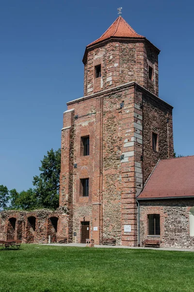 Замок в Тошеке, Польша Верхняя Силезия — стоковое фото