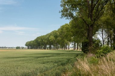 Lehçe il yol No 407, Stara Jamka Köyü ve BIAA komün PRUDNIK ilçesinde Pogrze Köyü arasındaki bölümü.