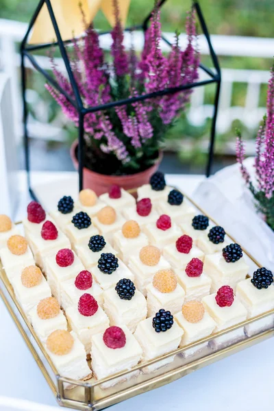 Část mini tvarohový dort na stojanu jako součást sladká pouštní tabulky (candy bar) — Stock fotografie
