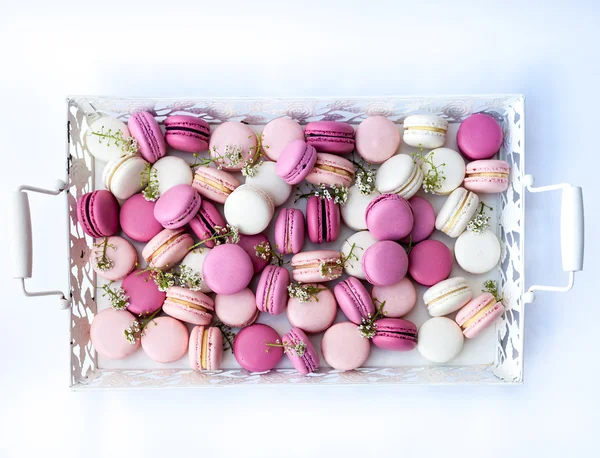 White tray full of colorful macarons shades of pink. Natural light. Selective focus. — Stock Photo, Image