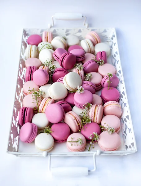 White tray full of colorful macarons shades of pink. Natural light. Selective focus. — Stock Photo, Image