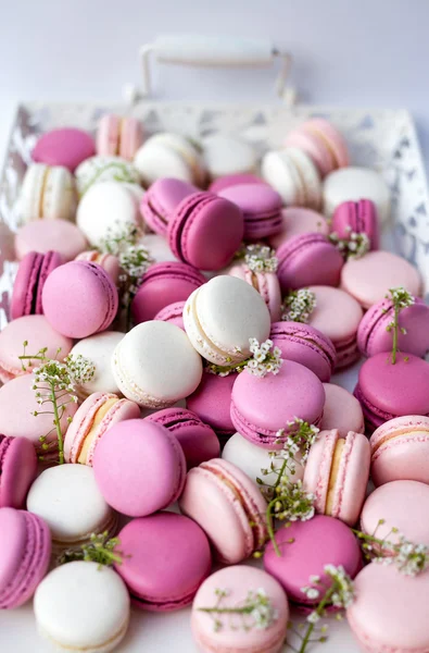 Bílý zásobník plný barevných macarons odstíny růžové. Přirozené světlo. Selektivní fokus. — Stock fotografie