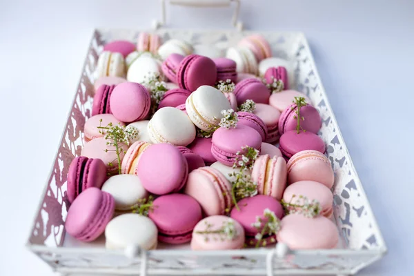 Plateau blanc plein de macarons colorés nuances de rose. Lumière naturelle. Concentration sélective . — Photo