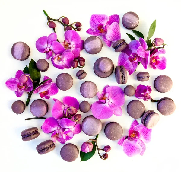 Orquídeas e macarões sobre um fundo branco — Fotografia de Stock