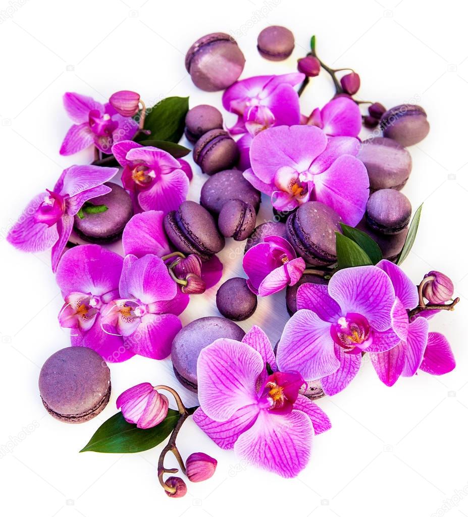 Orchids and macaron on a white background