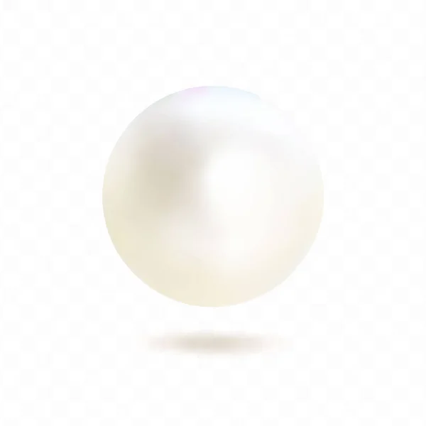 Vector pearl isolated on transparent background. — Stock Vector