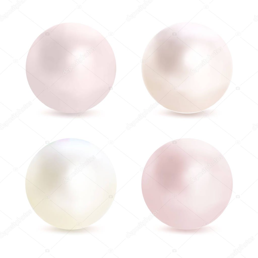 Pearl vector set on white background. 