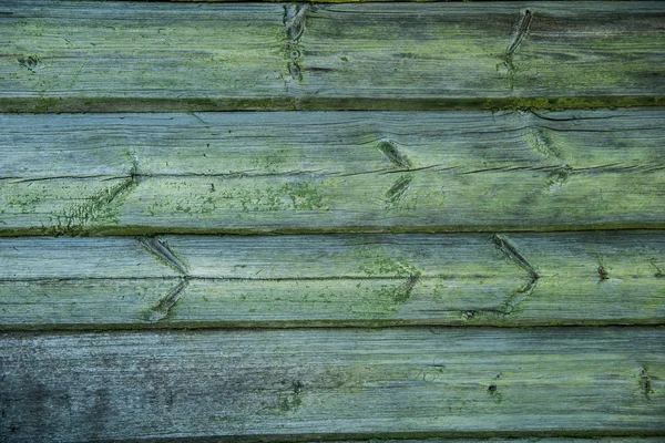 Old weathered wood planks covered with green moss — Stock Photo, Image