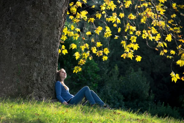 Dívka sedí na trávě pod javor na podzim — Stock fotografie
