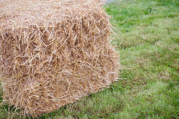 Stapel stro op een groen gras — Stockfoto