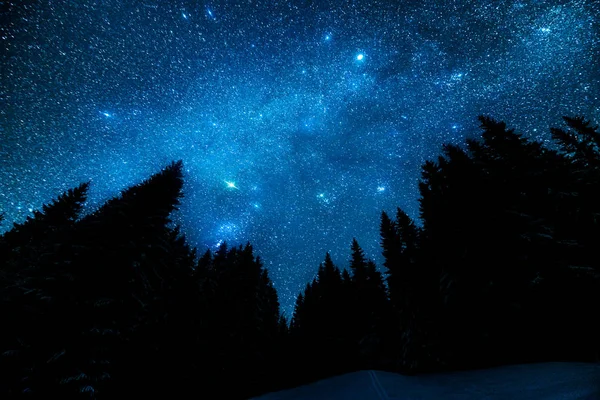 The bright starry sky in the night forest — Stock Photo, Image