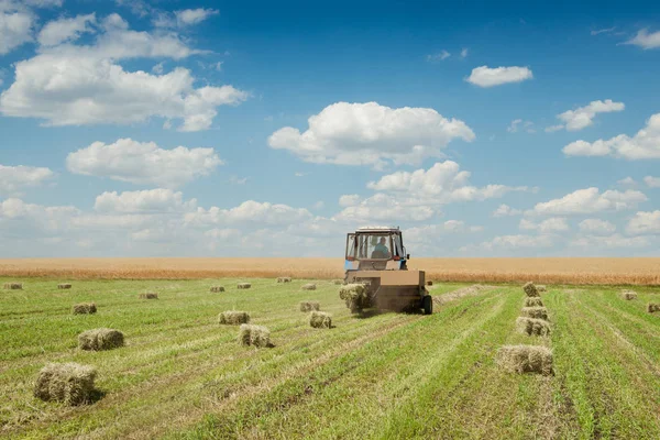Traktor na farmě pole shromažďuje suché seno — Stock fotografie