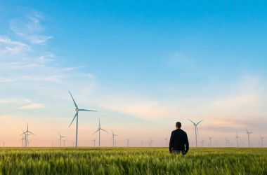 Man on green field of wheat with windmills for electric power production clipart
