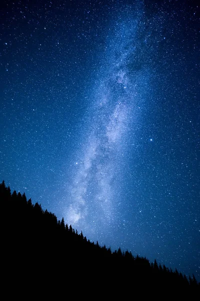 Milchstraße über dem nächtlichen Bergwald — Stockfoto