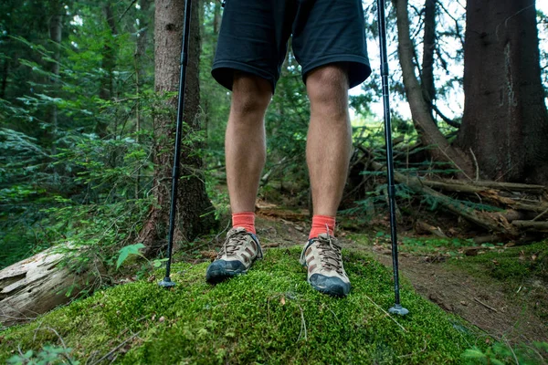 森の中のトレッキング ポールがブーツのハイキングの旅行者の足 — ストック写真