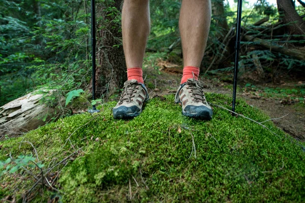 Gambe del viaggiatore in scarponi da trekking con bastoncini da trekking nel bosco — Foto Stock