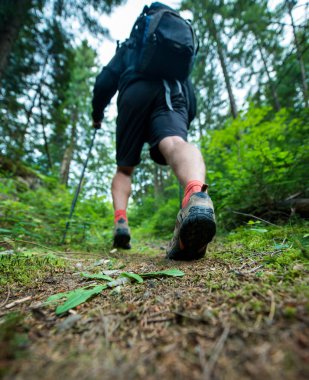 Ormanda yürüyüş trekking Polonyalılar botları ve bir sırt çantası içinde traveler yürür