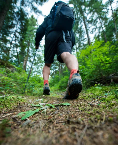Ormanda yürüyüş trekking Polonyalılar botları ve bir sırt çantası içinde traveler yürür