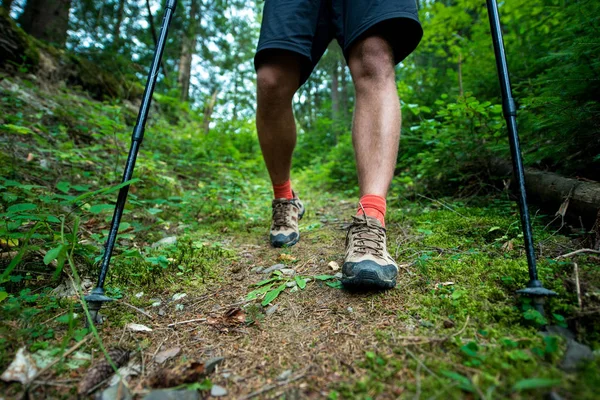 Reiziger in wandelschoenen met trekking palen wandelingen in het bos — Stockfoto