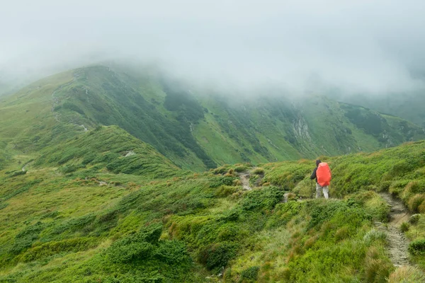 Reiziger Met Trekking Van Stokjes Een Rugzak Loopt Van Het — Stockfoto