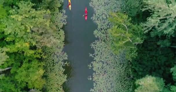 Two Kayaks Sailing Scenic River Aerial View — Stock Video