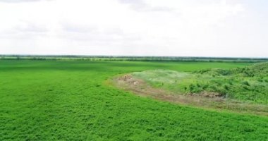 İskitler Kralı Solokha 'nın mezar höyüğünün manzarası, hava manzarası..
