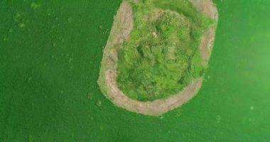 İskitler Kralı Solokha 'nın mezar höyüğünün manzarası, hava manzarası..