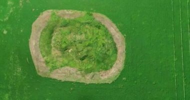 İskitler Kralı Solokha 'nın mezar höyüğünün manzarası, hava manzarası..