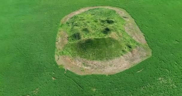 Widok Kopiec Pogrzebowy Salokhy Króla Scytów Widok Lotu Ptaka — Wideo stockowe