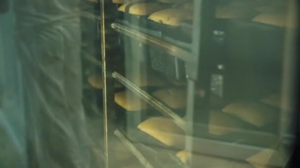 Roti Dipanggang Dalam Cetakan Oven — Stok Video