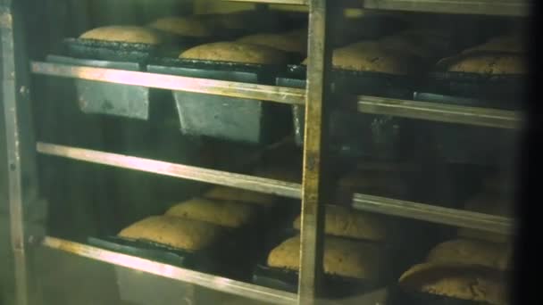 Pão Assado Moldes Fornos — Vídeo de Stock