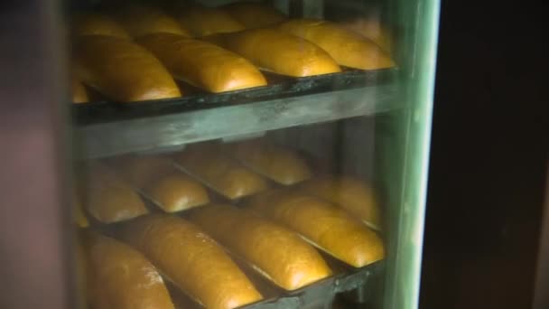 Ψωμί Ψήνεται Καλούπια Φούρνους — Αρχείο Βίντεο
