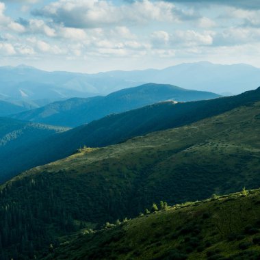 Karpatların yeşil dağlarıyla manzaralı bir yer.