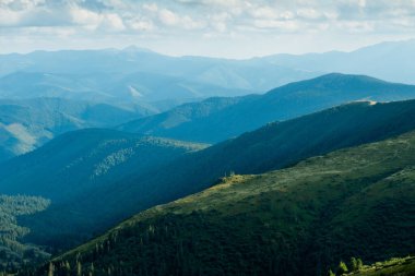 Karpatların yeşil dağlarıyla manzaralı bir yer.