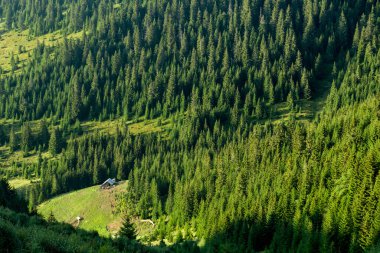 Dağ ormanları arasında bir çayırda ahşap evle manzaralı bir manzara.