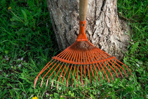 Fan Rake Cleaning Leaves Green Grass — Stock Photo, Image