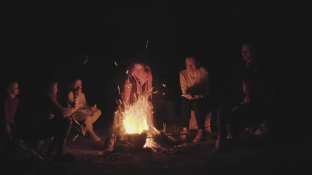 Familia Picnic Cerca Una Fogata Oscuridad — Vídeo de stock