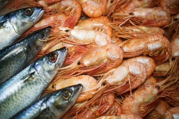 Ikan Segar Dan Makanan Laut — Stok Foto