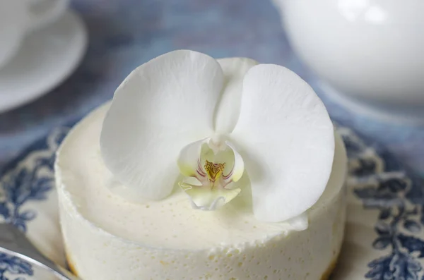 Kein Käsekuchen backen auf blauem Teller mit Orchidee — Stockfoto