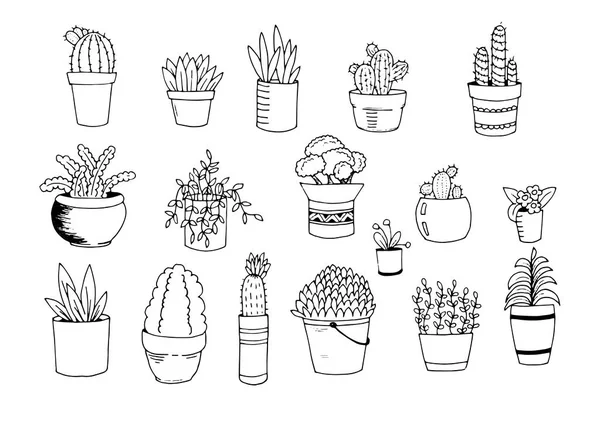 Hand loting bloemen en cactussen in potten doodle instellen achtergrond — Stockfoto