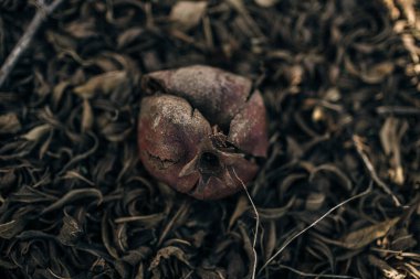 Çay yapraklarını poşete koy. 