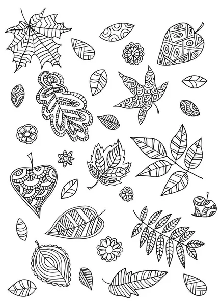 Ensemble de feuilles dans le style doodle . — Image vectorielle