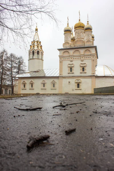 Россия Город Рязань Преображенская Церковь Спасителя Yar4 — стоковое фото