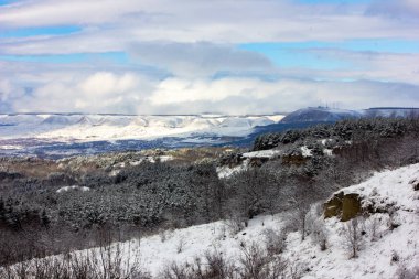Kafkasya 'daki dağlarda buz. İlk sonbahar karı ormana düştü. Ağaç dalları ve kışın çimenler..